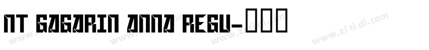 NT Gagarin Anna Regu字体转换